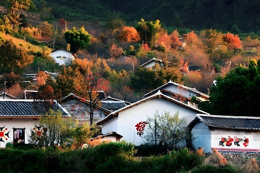 西昌市川興新農(nóng)村城鄉(xiāng)融合及配套基礎(chǔ)設(shè)施建設(shè)項目.jpg
